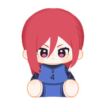 Blue Lock Minidoll 40cm Plush Doll